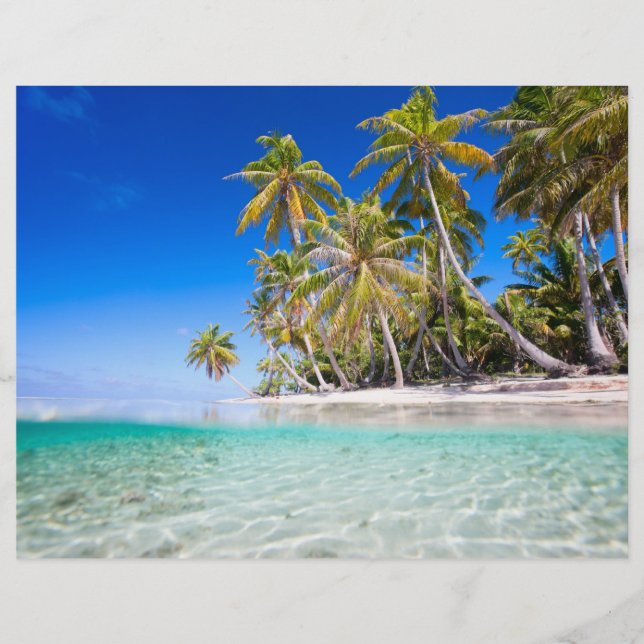 Prospectus 21,6 Cm X 24,94 Cm L'île tropicale (Devant)