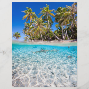 Prospectus 21,6 Cm X 24,94 Cm L'île tropicale sous et au-dessus de l'eau