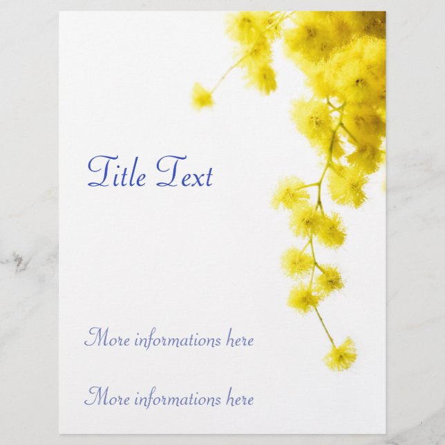 Prospectus 21,6 Cm X 24,94 Cm Mimosa (Devant)