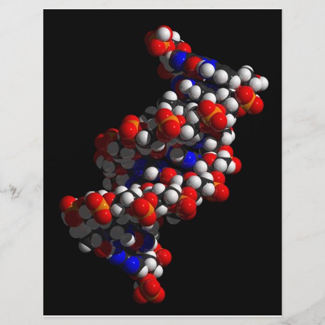 Prospectus 21,6 Cm X 24,94 Cm Modèle ADN double hélix (Devant)