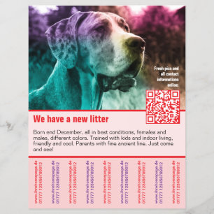 Prospectus 21,6 Cm X 24,94 Cm modèle de flyer de chiots à vendre avec QR code
