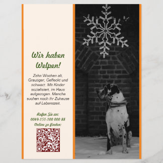 Prospectus 21,6 Cm X 24,94 Cm Modèles de flyers pour chiots à vendre