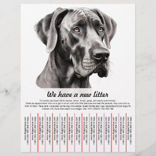 Prospectus 21,6 Cm X 24,94 Cm modèles de prospectus pour chiots à vendre