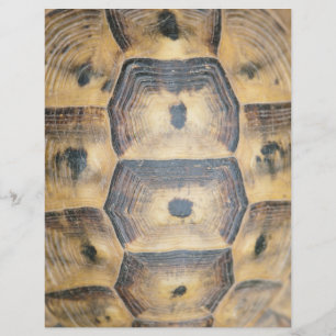 Prospectus 21,6 Cm X 24,94 Cm Motif Tortoise Shell