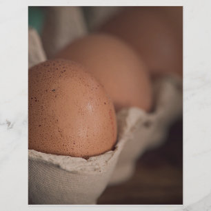 Prospectus 21,6 Cm X 24,94 Cm Oeufs frais de ferme