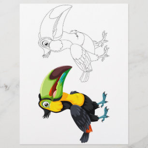 Prospectus 21,6 Cm X 24,94 Cm page de coloration des oiseaux toucan