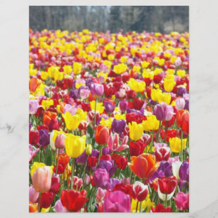 Prospectus 21,6 Cm X 24,94 Cm Papier pour dépliants Thème Printemps Tulipes Fleu