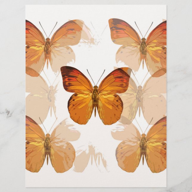 Prospectus 21,6 Cm X 24,94 Cm Papillon mouche Flyer (Devant)