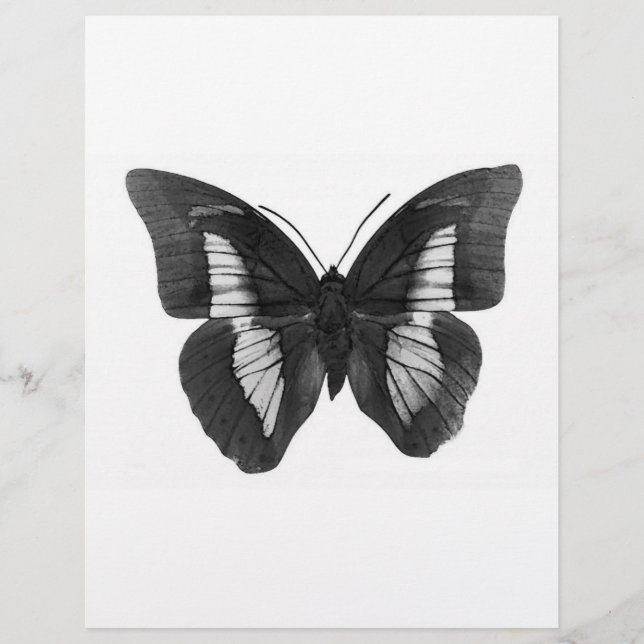 Prospectus 21,6 Cm X 24,94 Cm Papillon noir et blanc (Devant)