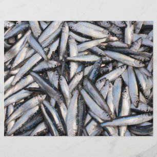 Prospectus 21,6 Cm X 24,94 Cm Pêche au poisson frais - ingrédients alimentaires.