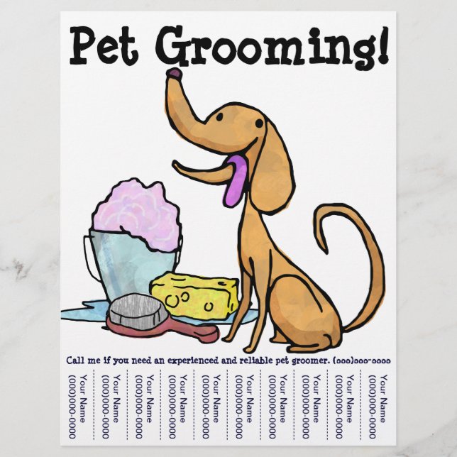 Prospectus 21,6 Cm X 24,94 Cm Pet Grooming ! Flyer (Devant)