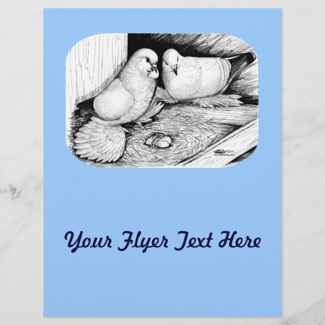 Prospectus 21,6 Cm X 24,94 Cm Pigeons de glace (Devant)