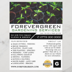 Prospectus 21,6 Cm X 24,94 Cm Plantes de tomates, Service de jardinage, Horticul