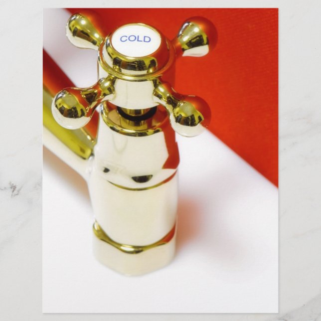 Prospectus 21,6 Cm X 24,94 Cm Poignée transversale de Faucet (Devant)