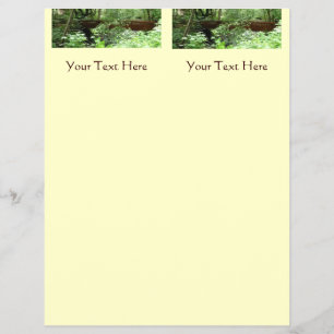 Prospectus 21,6 Cm X 24,94 Cm Pont Muir Woods I