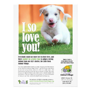 Prospectus 21,6 Cm X 24,94 Cm Poster d'adoption - Little Rock Animal Village