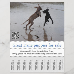 Prospectus 21,6 Cm X 24,94 Cm Poster du vendeur