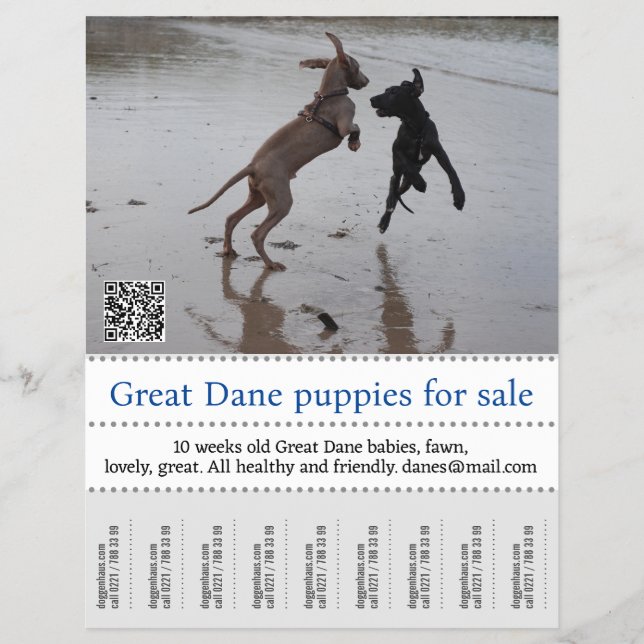 Prospectus 21,6 Cm X 24,94 Cm Poster du vendeur (Devant)