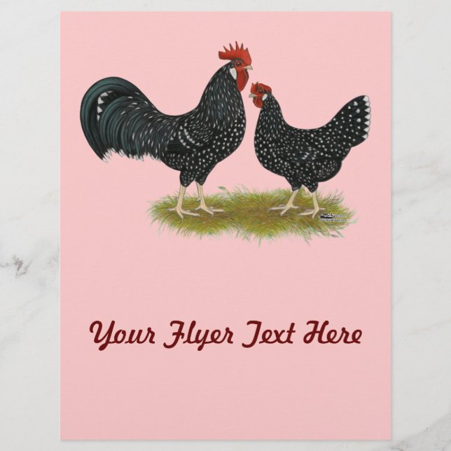 Prospectus 21,6 Cm X 24,94 Cm Poulets d'Ancône (Devant)