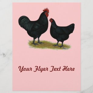 Prospectus 21,6 Cm X 24,94 Cm Poulets géants Jersey