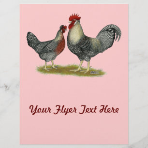 Prospectus 21,6 Cm X 24,94 Cm Poulets Legbar à la crème