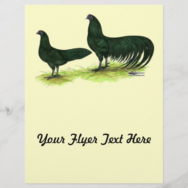 Prospectus 21,6 Cm X 24,94 Cm Poulets noirs de Sumatra (Devant)