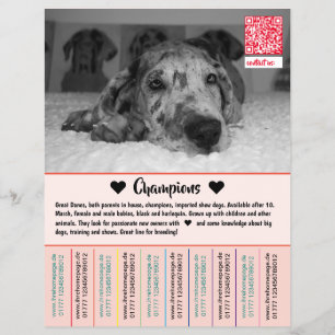 Prospectus 21,6 Cm X 24,94 Cm Pour vendre des chiots Dane Flyer