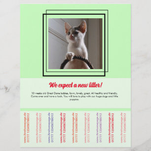 Prospectus 21,6 Cm X 24,94 Cm Pour vendre Puppies Flyer