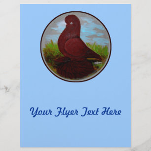 Prospectus 21,6 Cm X 24,94 Cm Poussette rouge pigeon motte
