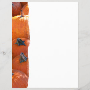 Prospectus 21,6 Cm X 24,94 Cm Pumpkin Patch