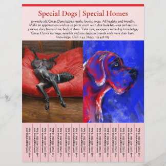 Prospectus 21,6 Cm X 24,94 Cm puppy for sale flyer templates