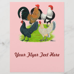 Prospectus 21,6 Cm X 24,94 Cm Quatuor néerlandais Bantam