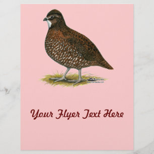 Prospectus 21,6 Cm X 24,94 Cm Queue rouge du Tennessee