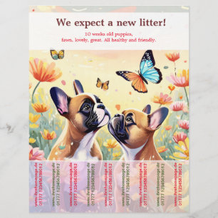 Prospectus 21,6 Cm X 24,94 Cm Rangez le prospectus des chiots français Buldog