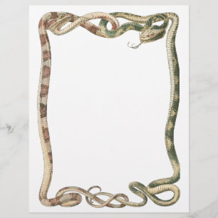 Prospectus 21,6 Cm X 24,94 Cm Reptiles Vintage, Serpents ou Vipères Entrelacés e