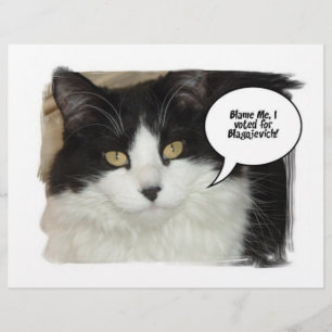 Prospectus 21,6 Cm X 24,94 Cm Rod Blagojevich