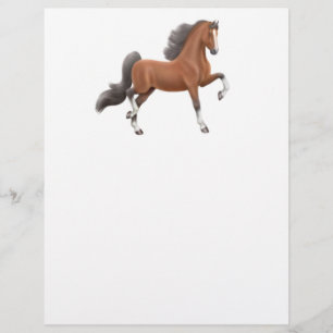 Prospectus 21,6 Cm X 24,94 Cm Saddlebred Flyer américain
