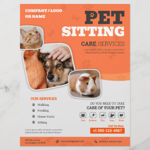 Prospectus 21,6 Cm X 24,94 Cm Services de pose pour animaux de compagnie Flyer