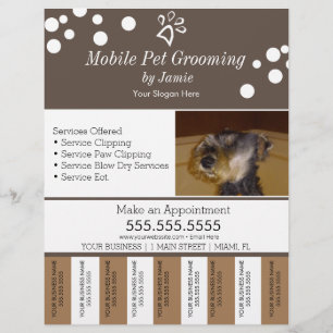 Prospectus 21,6 Cm X 24,94 Cm Services pour animaux Soins de toilettage pour chi