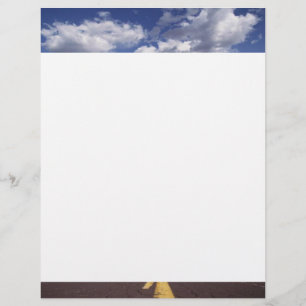 Prospectus 21,6 Cm X 24,94 Cm Sur le dépliant routier