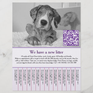 Prospectus 21,6 Cm X 24,94 Cm tracts pour chiots