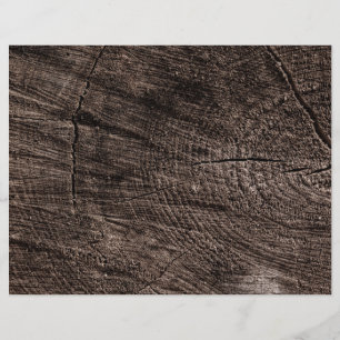 Prospectus 21,6 Cm X 24,94 Cm Tree stump