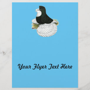 Prospectus 21,6 Cm X 24,94 Cm Trumpeter Pigeon tête noire