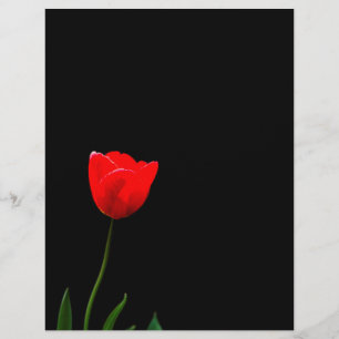 Prospectus 21,6 Cm X 24,94 Cm Tulipe rouge sur un arrière - plan noir