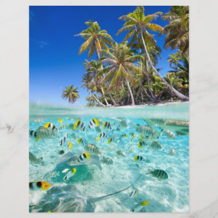 Prospectus 21,6 Cm X 24,94 Cm Vacances exotiques