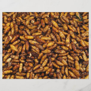 Prospectus 21,6 Cm X 24,94 Cm Vers de soie frits ... Thai Street Food