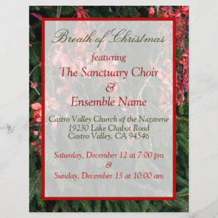 Prospectus 21,6 Cm X 24,94 Cm Vie De Noël