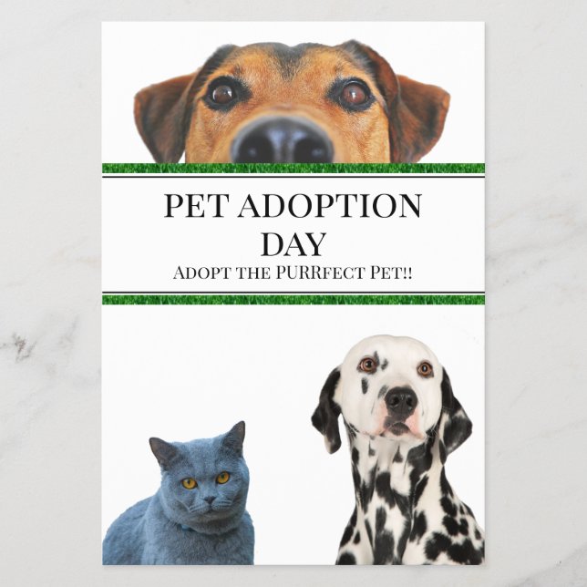 Prospectus Jour de l'adoption des animaux (Devant)