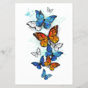 Prospectus Papillons volants Morpho et Monarch