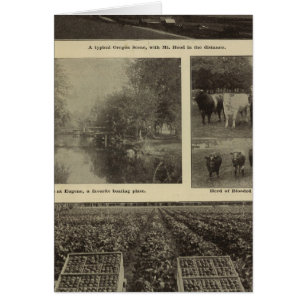 Prospérité, abondance en Oregon